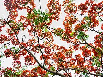 摩托游戏《SBK 22》新预告片 对比《MotoGP 22》